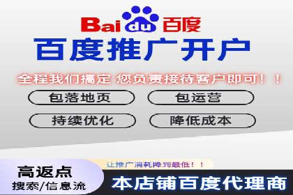 百度SEM代运营案例揭秘，如何实现ROI最大化